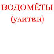 Магазин &laquo;Водомёты&raquo;