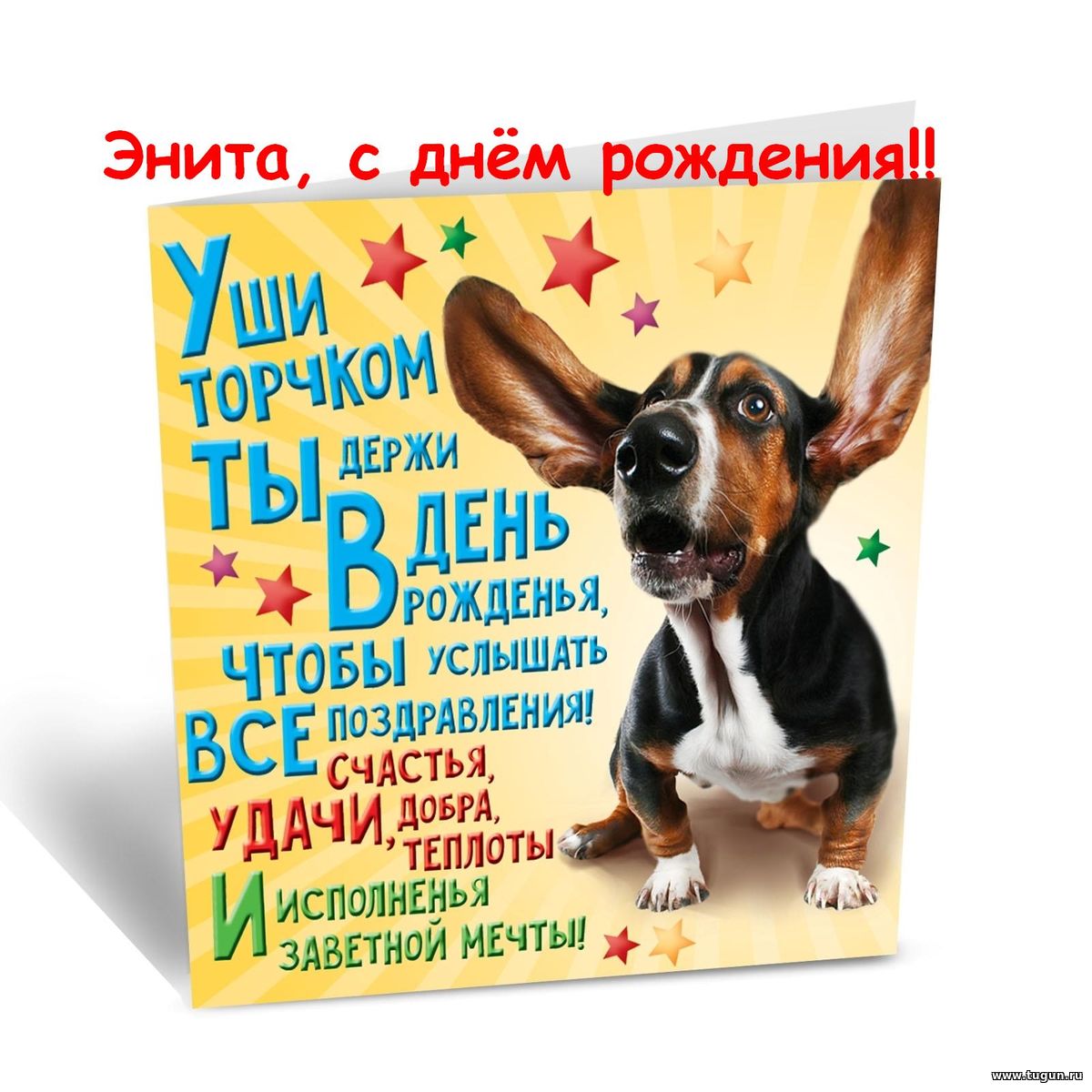 Открытки собак с днём рождения Открытки собак с днём рождения