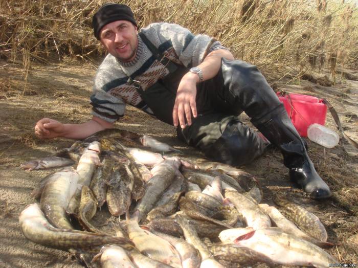 охота и рыбалка на река енисей
