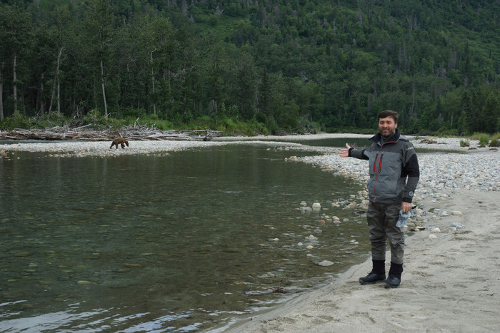 медведь в воде