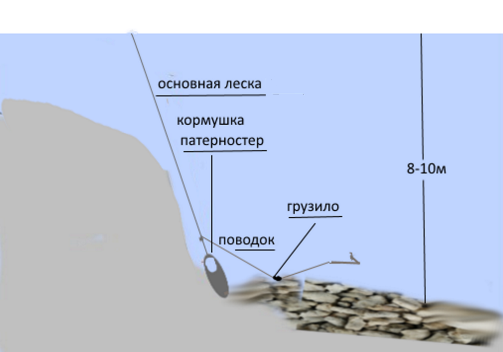 Найти место для ловли на фидер