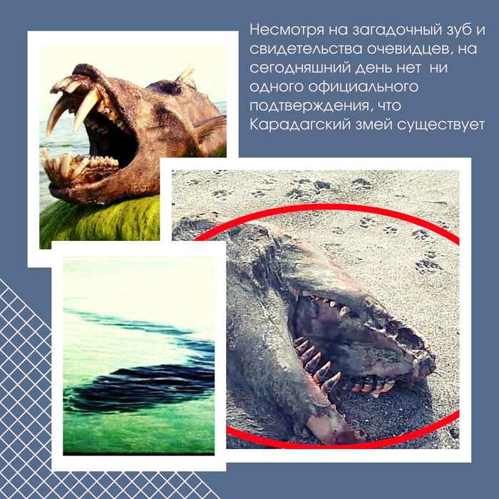 Синий Сетка Мода Коллаж Женский День Публикация в Instagram