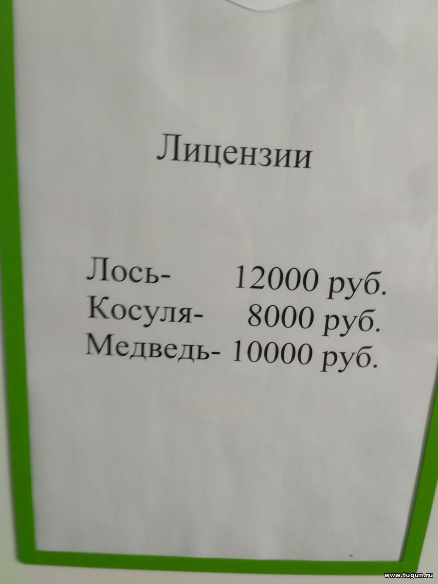 Разрешение на лося