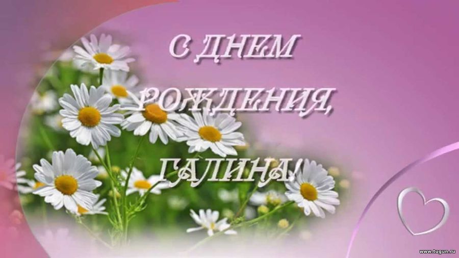 Открытка с юбилеем галина ивановна, подснежники