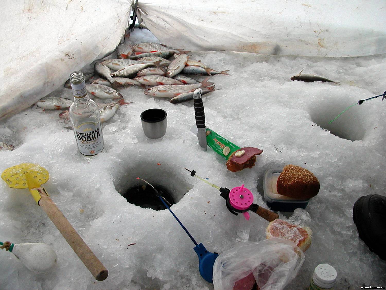 Ловля в палатке. Зимняя рыбалка. Зимняя рыбалка лунка. Рыбалка зимой в палатке. Зимняя рыбалка с ночевкой.