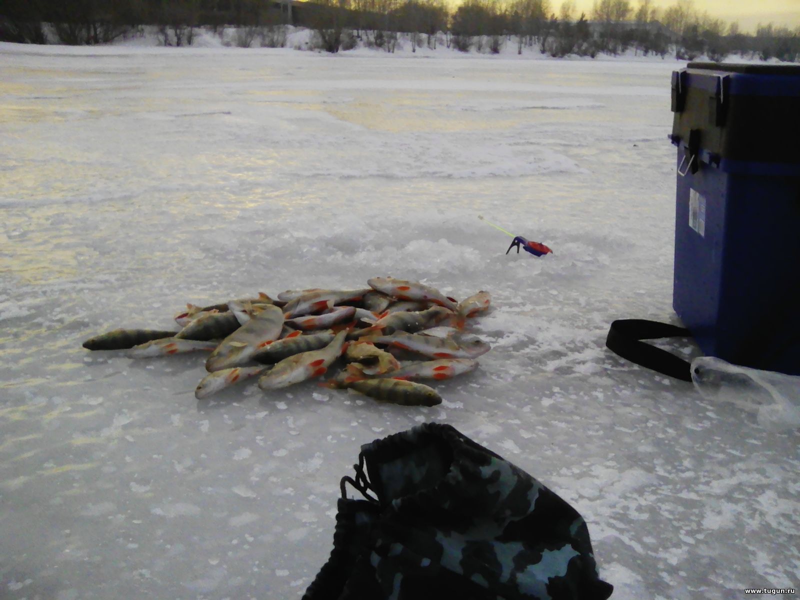 Фион 74 челябинская область. Рыбалка на Абаканской протоке в Красноярске.